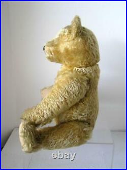 1950's Steiff Original Teddy Bear Curly GOLD Mohair with ID MINT! Large 20