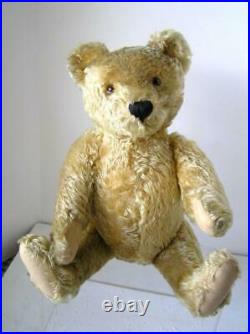 1950's Steiff Original Teddy Bear Curly GOLD Mohair with ID MINT! Large 20