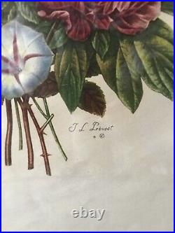 Antique J. L. Prevost Large Botanical Floral Print in Original Gold Frame