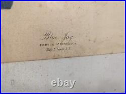 Antique Primitive Large Picture Frame Store Display 37x20 Movie Poster Stand Vtg