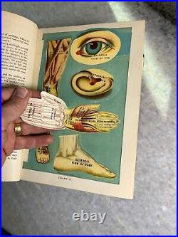 LARGE Antique Vintage Medical Book 1916 LIBRARY OF HEALTH Color Plates Diagrams