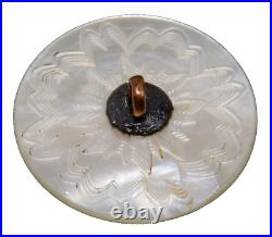 Large Antique Vtg Engraved Nautilus Pearl Shell BUTTON w Reverse Carving NICE
