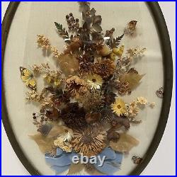 VINTAGE Large Brass Bubble Frame Framed Dried Flowers Floral Butterfly