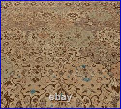 Vintage T a b r i z Blue and Light Brown Handwoven Wool Carpet BB5720